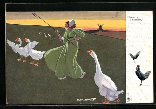 Carte postale garde - -oies, avec