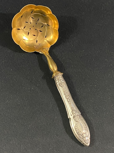 Cuillère saupoudreuse xixe - cuillère,