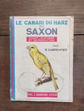 Le Canari Du Harz Ou Saxon