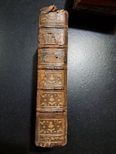 Abrégé anatomie du - de, l'anatomie