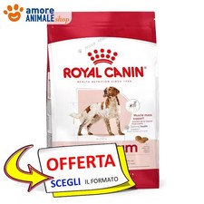 Royal Canin Chien → Adulte