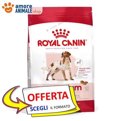 Royal canin chien adulte - royal,