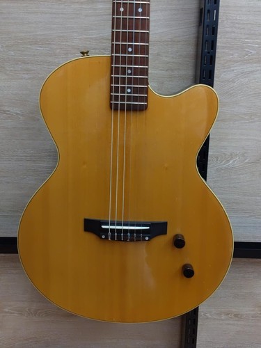 Guitare acoustique électrique