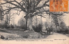 37 CHÂTEAU LA VALLIERE LE CHENE DE LA VIERGE