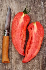 6 graines de TOMATE CORNUE DES