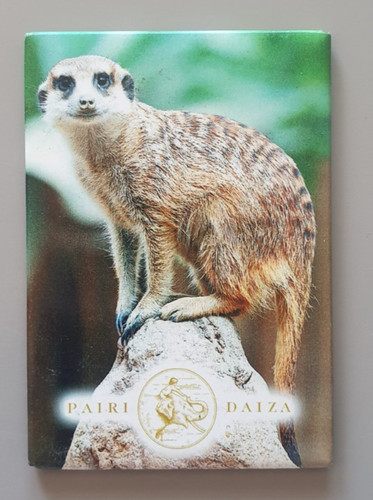 Magnet collection zoo pairi - magnet,