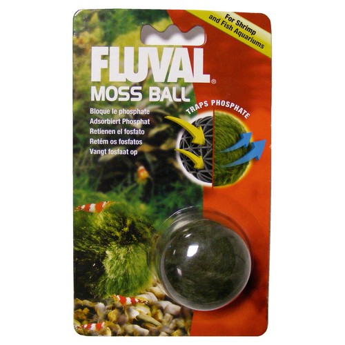 Fluval balle mousse pour - balle,