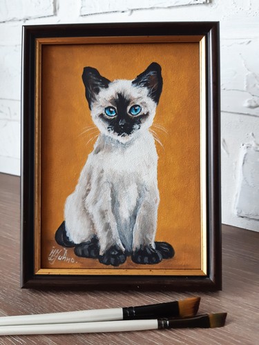 Tableau yeux bleus - , chaton