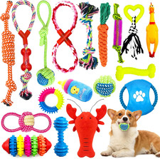 Jouets pour Chien,18 pièces