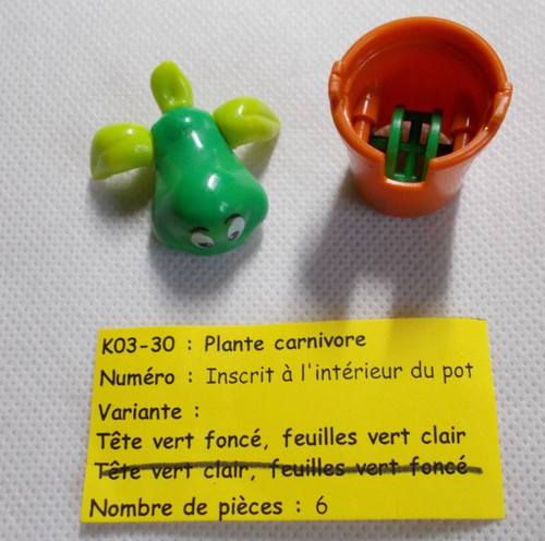Kinder plante carnivore dans - kinder,