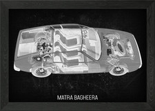 Matra Bagheera Framed Wall Art