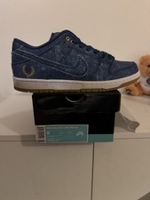 Nike SB Dunk low Rival