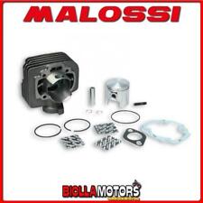 317137 CYLINDRE KIT MALOSSI