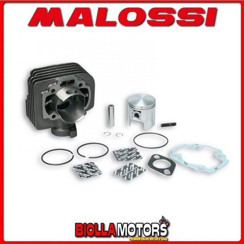 317137 cylindre kit malossi - cylindre,