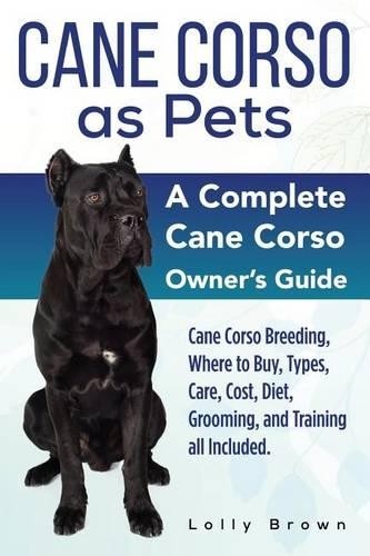 Lolly brown cane corso pets - lolly,