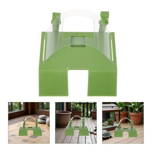 Plateforme tortue dessus - plateforme, du