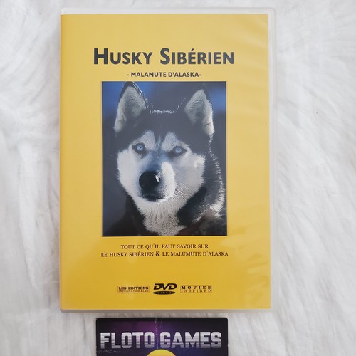 Dvd zone husky - zone, :