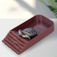 Bol d'eau pour Reptile, bain