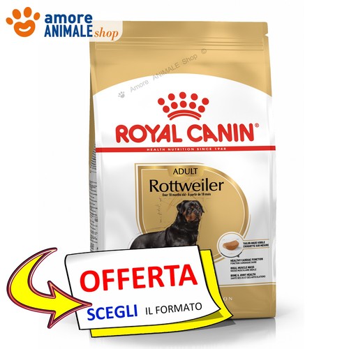 Royal canin chien adulte - chien, →