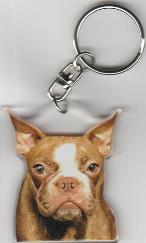 Boston terrier chien porte - chien,