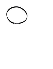 Windsor Sensor Vacuum Belt