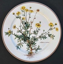 Sublime GRANDE ASSIETTE