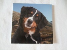 Carnet aimanté à feuilles -