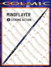 Canne Colmic MINDFLAYER casting 250gr mt 4.20 carbon esturgeon, catfish