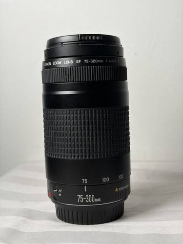 Objectif canon 300mm - objectif, 75-300mm