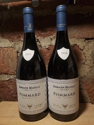 Pommard mazilly 2024 - pommard,