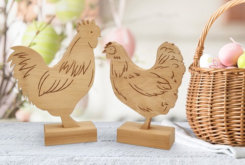 Poule coq les deux - coq, comme
