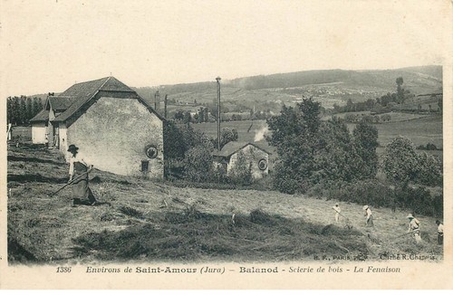 Jura environs saint amour - de,