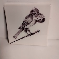 Ancien Carreau Carrelage