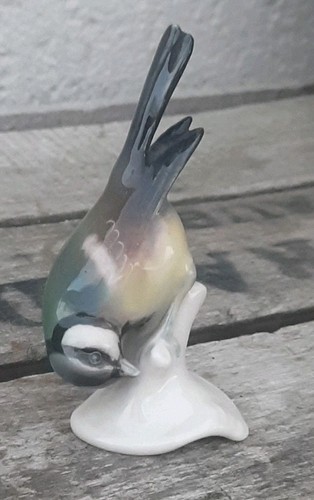 Joli oiseau mésange - joli,