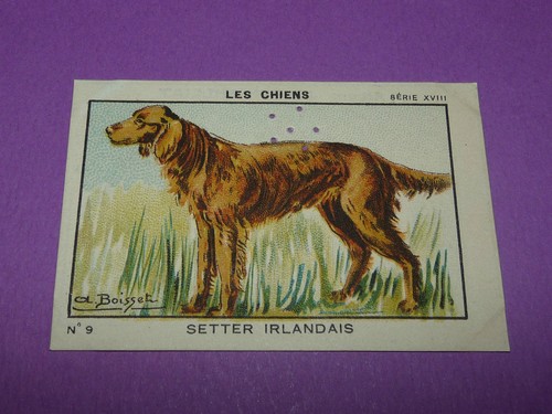 Rare chromo 1933 - chromo,