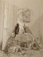Très Belle Peinture Lavis Encre Sur Papier XIXe  1850 Chat Animal Animaux Oiseau