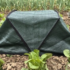 Tente Pliable pour Plantes Fournissant Protection Solaire et Défense Parasitair