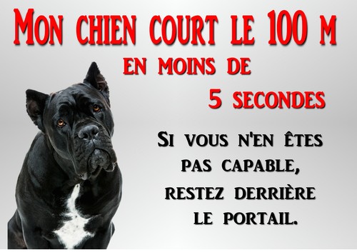 Plaque chien métal cane - chien,