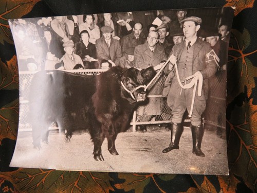 Ancienne photo argentique - photo,