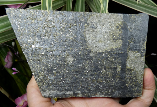 Pyrite dorée ardoise sciée - dorée,