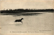 Old postcard forest hunts of ERMENONVILLE Bat l'eau dans l'etang Vallieres (377001)