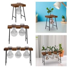 Vase bulbe, terrarium, pot de