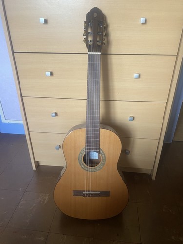 Eko vibra150cw guitare - vibra150cw,