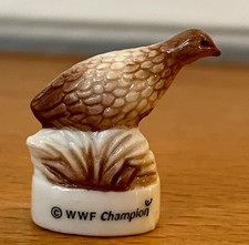 Fève Oiseau RALE DES GENETS