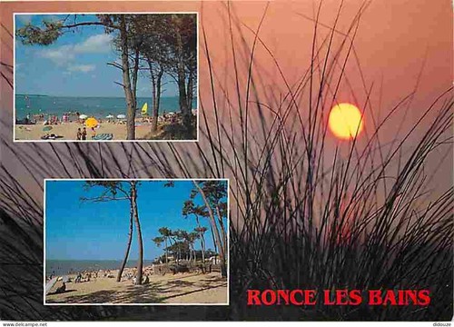 Carte postale ronce les - 17,
