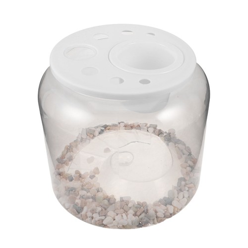 Cage reptiles bol tortue - reptiles,