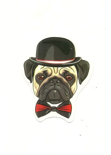 Autocollant chien dog - autocollant,