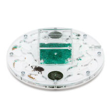 Fourmiliere Ant Farm Circle BIG (Fourmis et reine gratuites)