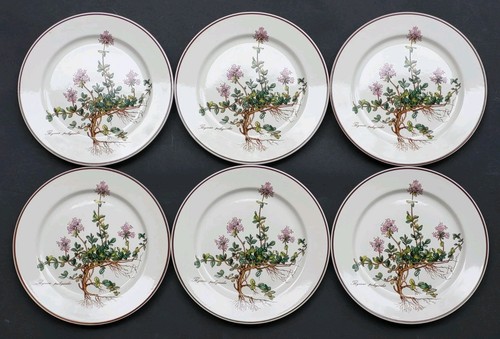 Superbes assiettes dessert - 6,