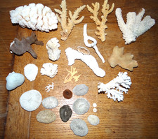 Small Lot of Antique Corals and Miscellaneous